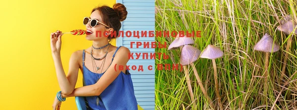 бошки Аркадак