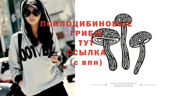 а пвп мука Арсеньев